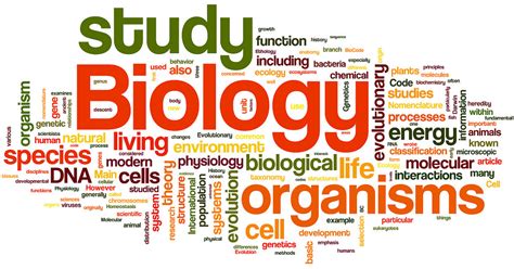 Links To Helpful Biology And A Amp P Anatomical Terms Worksheet Answers - Anatomical Terms Worksheet Answers