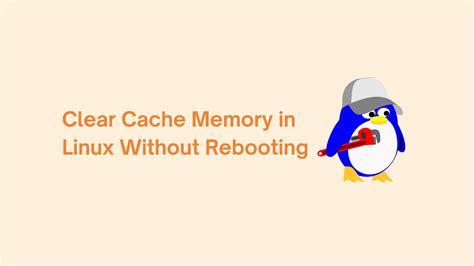 linux - Clear cache of virtual machine - Super User