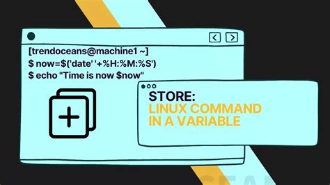 linux - How to store the result of an executed shell command in a ...