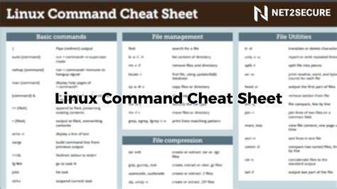 Linux For Beginners And Command Line Kung Fu Bundle An Introduction To The Linux Operating System And Command Line