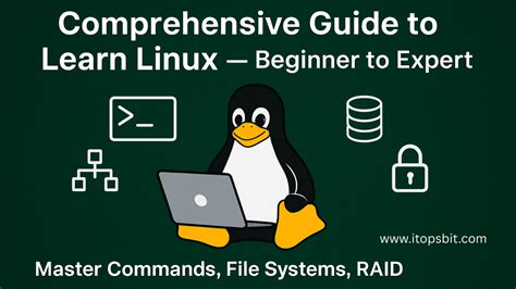 Linux From Beginner To Expert