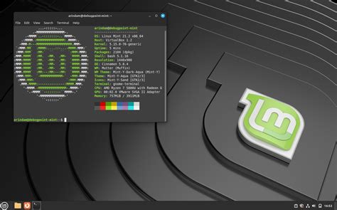 linux mint desktop