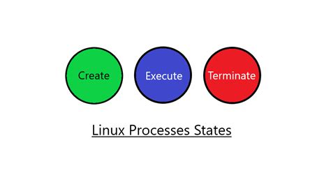 linux process 확인