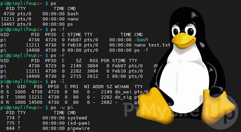 linux ps show full command