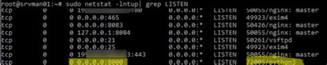 linux show process listening on port