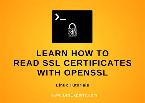 linux show ssl certificate information