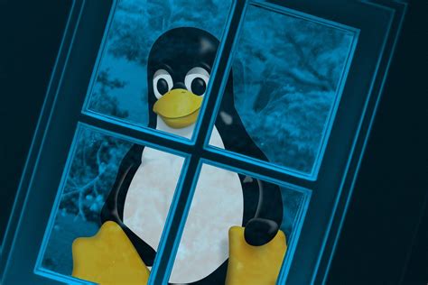 Read Linux In A Windows World 