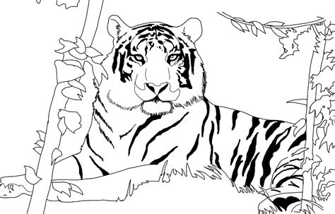 Lions And Tigers Coloring Pages   32 Free Tiger Coloring Pages Printable - Lions And Tigers Coloring Pages