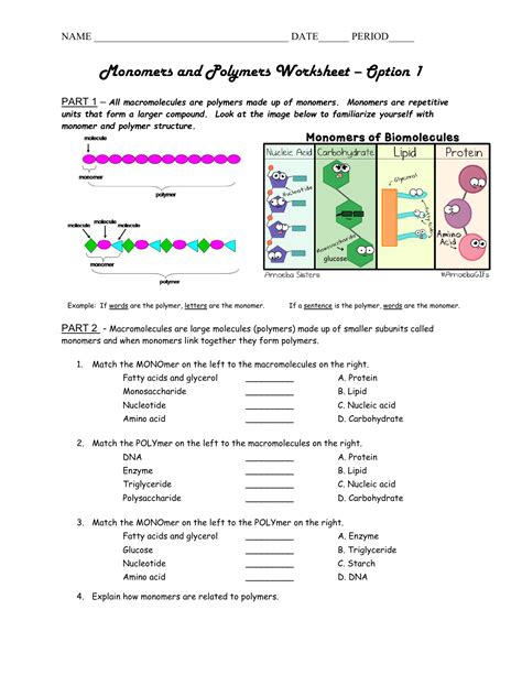 Lipid Worksheets Free Macromolecule Lesson Plans Ngss Life Life Science Worksheets Middle School - Life Science Worksheets Middle School