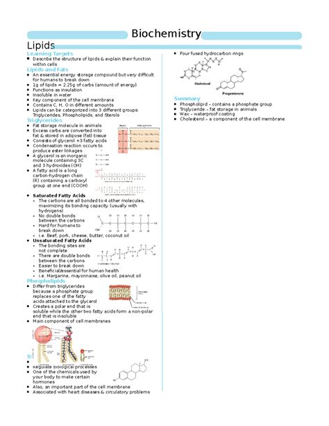 Lipids Biochemistry Notes
