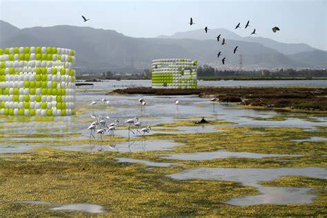 liquid landscape geography and settlement at the e