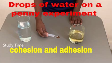 Liquids Science Experiment Drops On A Coin Surface Liquid Science Experiment - Liquid Science Experiment