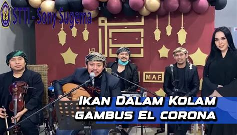 LIRIK LAGU ELCORONA GAMBUS IKAN DALAM 💿 Lirik Lagu Ikan Dalam Kolam - Elcorona Gambus dan Fakta di