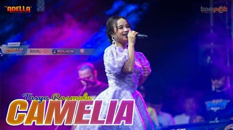 LIRIK LAGU CAMELIA - Viral! Lirik Lagu Camelia karya Rhoma Irama dibawakan Tasya