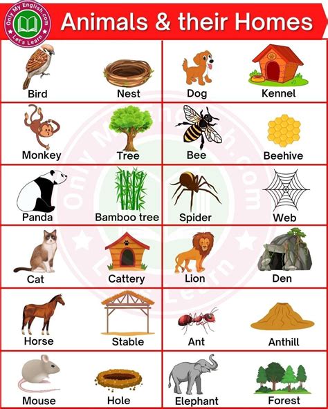 list animals their homes
