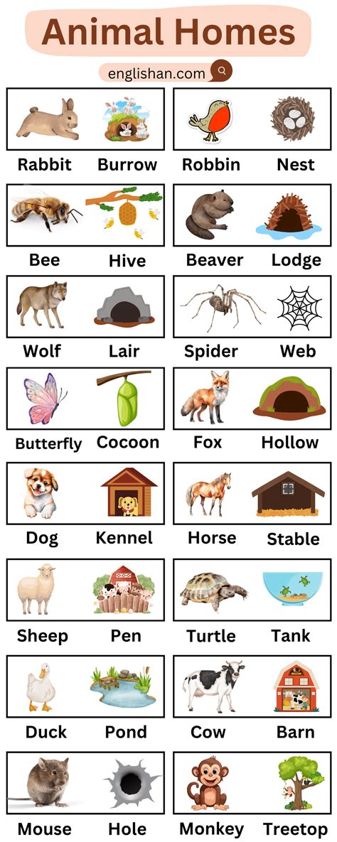 list animals their homes with baby names