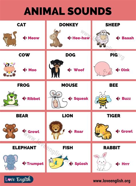List Of Animal Sounds And Their Spellings Making Animal Sounds Writing - Animal Sounds Writing