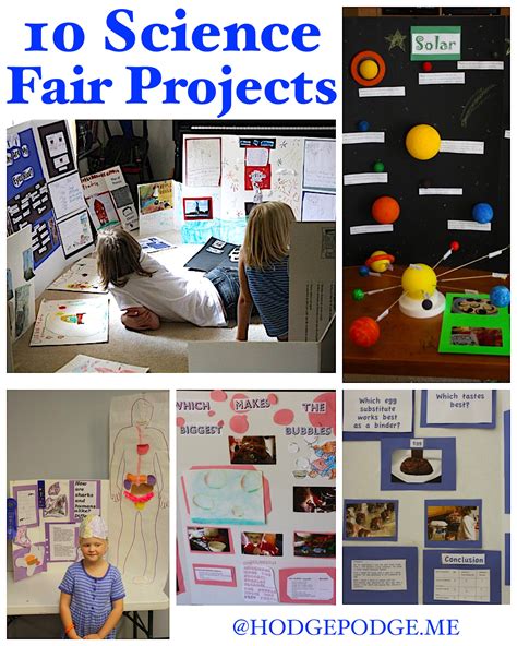 List Of Science Fair Project Ideas Science Buddies My Science Experiment - My Science Experiment