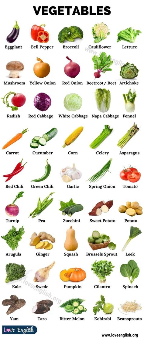 List Of Vegetables