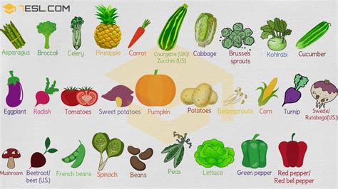 List Of Vegetables 240 Vegetables From A To Vegetable Grade - Vegetable Grade