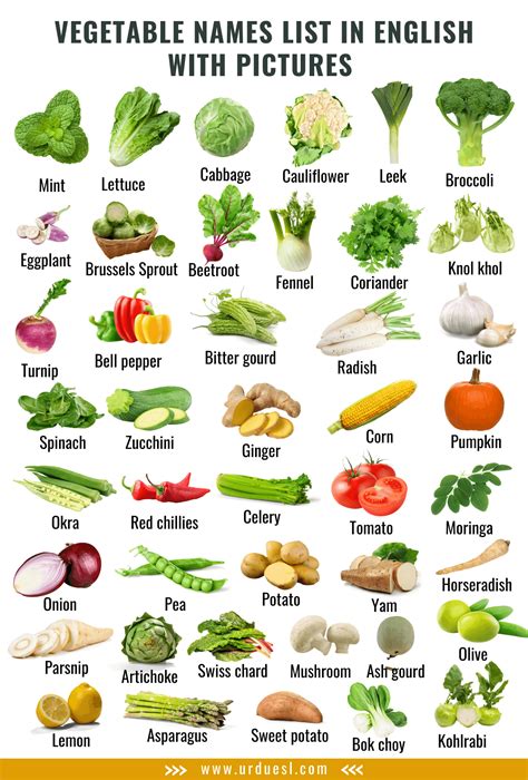 List Of Vegetables Pdf