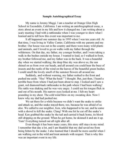 literature review example introduction to an autobiography