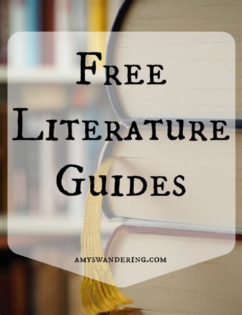 Download Literature Guides For Novels 
