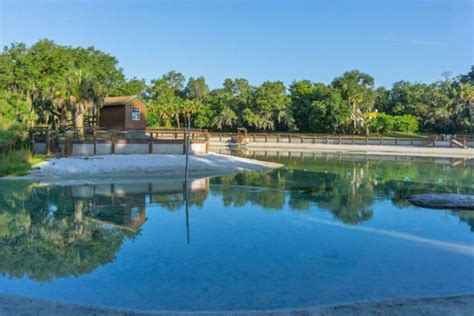 lithia florida