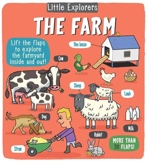little explorers the farm