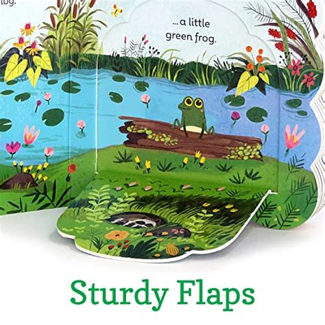 Read Online Little Green Frog Lift A Flap Board Book Babies Love 