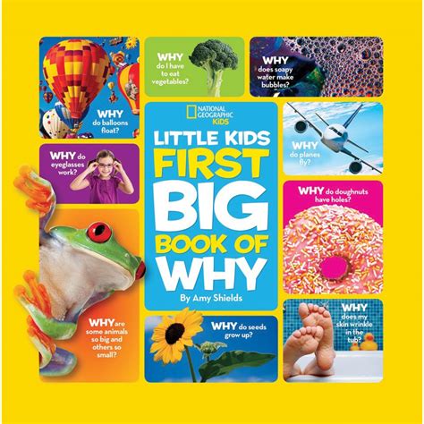 Full Download Little Kids First Big Book Of Why First Big Book 
