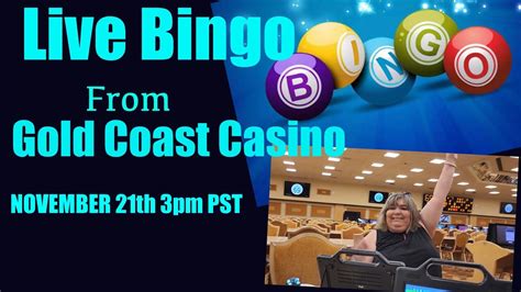 live casino bingo!