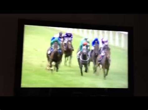 live horseracing commentary
