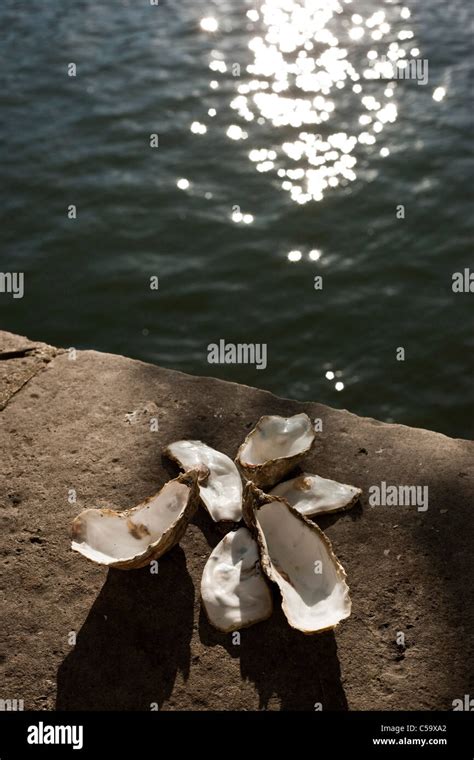 Live Shells In The Seine