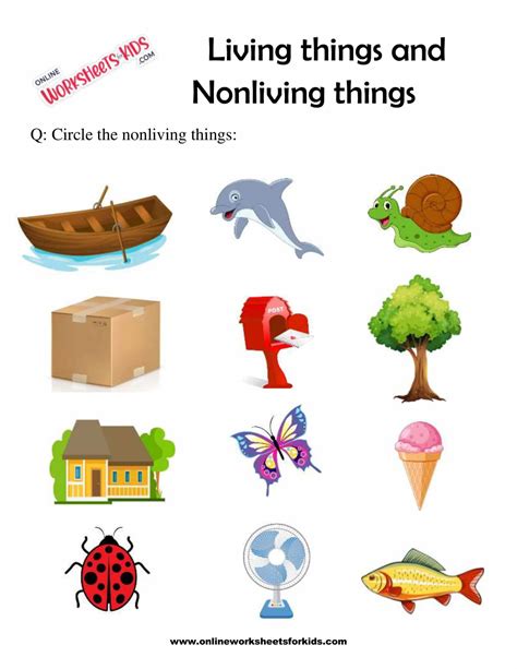 Living And Non Living Things Online Exercise Live Living Vs Nonliving Things Worksheet - Living Vs Nonliving Things Worksheet