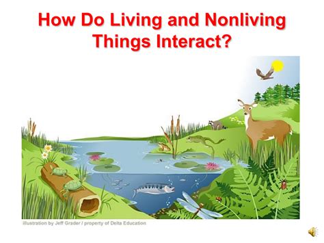 Living And Non Living Things Study Mumbai Science Non Living Things - Science Non Living Things