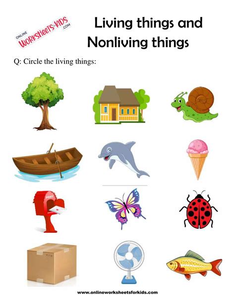 Living And Nonliving Things Creative Kindergarten Science Living And Nonliving Things - Science Living And Nonliving Things