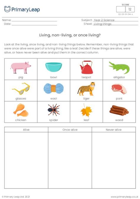Living And Nonliving Things Worksheets Twinkl Twinkl Living Vs Nonliving Things Worksheet - Living Vs Nonliving Things Worksheet