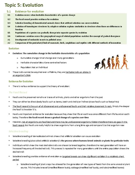 Living Environment Topic 5 Evolution Answer Key