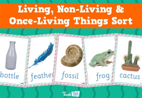 Living Non Living And Once Living Things Worksheet Living Non Living Worksheet - Living Non Living Worksheet