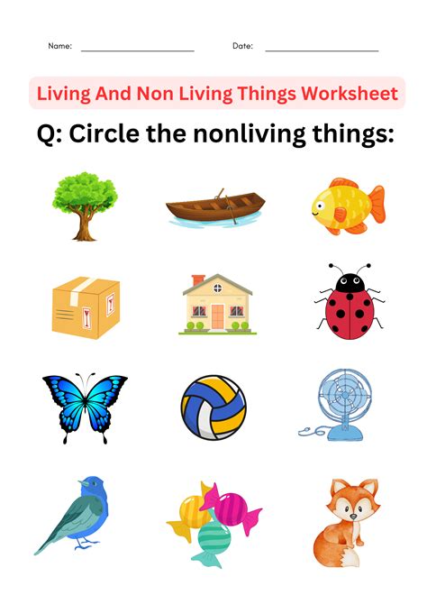 Living Non Living Things Worksheet   Living And Non Living Things Worksheets 99worksheets - Living Non Living Things Worksheet