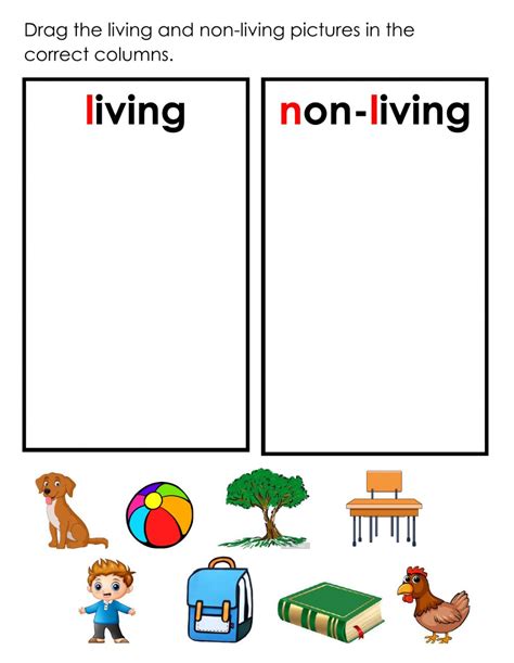 Living Non Living Worksheet   Living And Nonliving Things Worksheets Twinkl Twinkl - Living Non Living Worksheet