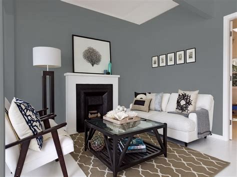 Living Room Paint Ideas Gray