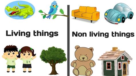 Living Things And Nonliving Things A Compare And Science Living And Nonliving Things - Science Living And Nonliving Things