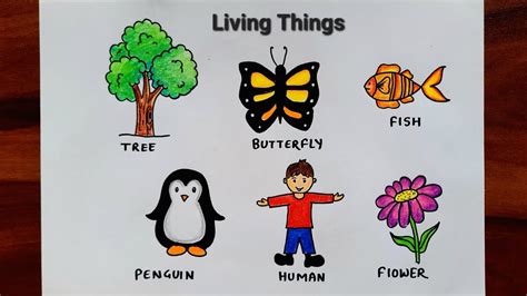 Living Things Drawing