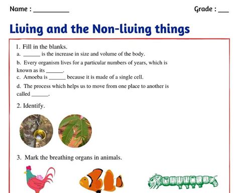 Living Things Elementary Science Methods I University Of Science Living Things - Science Living Things