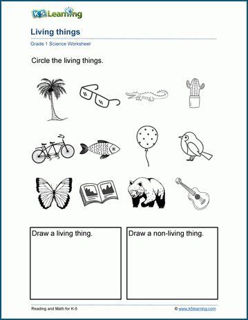 Living Things Worksheets K5 Learning Living Vs Nonliving Things Worksheet - Living Vs Nonliving Things Worksheet