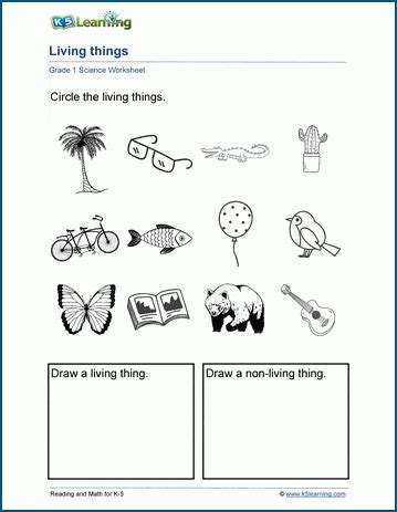 Living Things Worksheets K5 Learning Worksheets For 3rd Grade Science - Worksheets For 3rd Grade Science