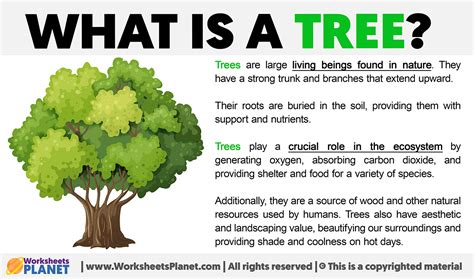 Living Tree Meaning