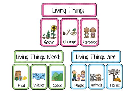 Living Vs Nonliving Pbs Learningmedia Living Vs Nonliving Things Worksheet - Living Vs Nonliving Things Worksheet